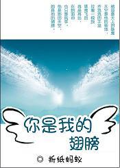 你是我的翅膀（军旅）