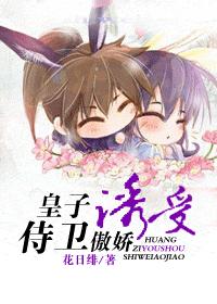 皇子诱受，侍卫傲娇！