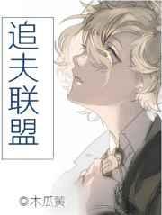 追夫联盟