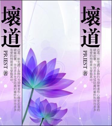 坏道