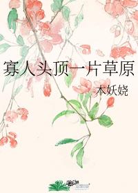 寡人头顶一片草原
