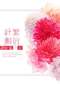 （综同人）[综]繁衍计划