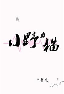 小野猫