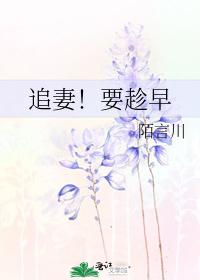 追妻！要趁早