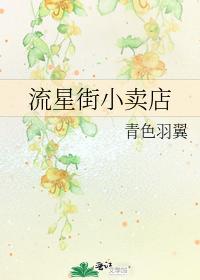 流星街小卖店