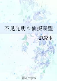 不见光明の侦探联盟