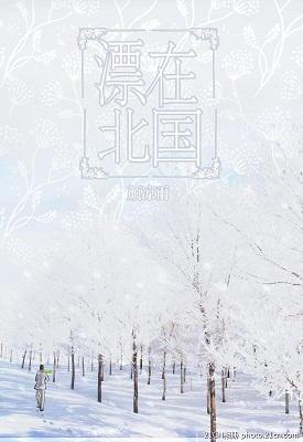 漂在北国