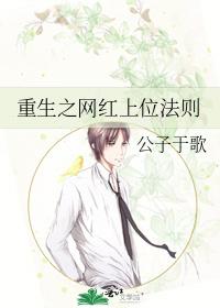 重生之网红上位法则