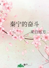 秦宁的奋斗