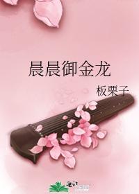 晨晨御金龙