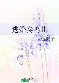 逃婚奏鸣曲