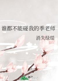 谁都不能碰我的季老师