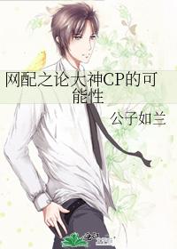 网配之论大神CP的可能性