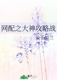 网配之大神攻略战