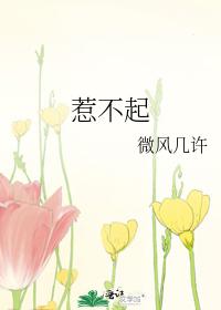 惹不起