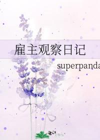 雇主观察日记