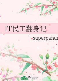 IT民工翻身记