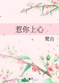 惹你上心