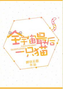 全宇宙最后一只猫