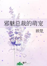 邪魅总裁的萌宠