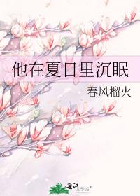 他在夏日里沉眠