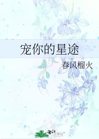宠你的星途