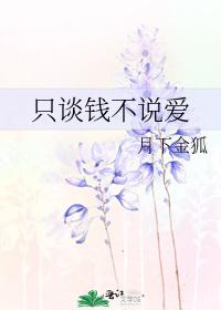 只谈钱不说爱