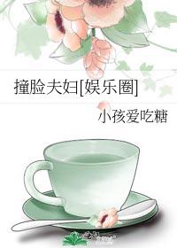 撞脸夫妇[娱乐圈]