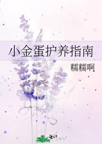 小金蛋护养指南