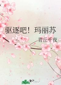驱逐吧！玛丽苏