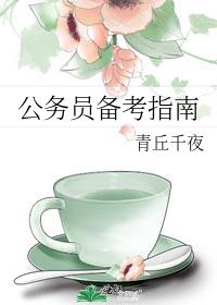 公务员备考指南