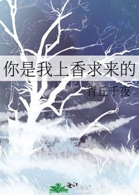 你是我上香求来的