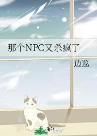 那个NPC又杀疯了