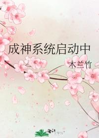 成神系统启动