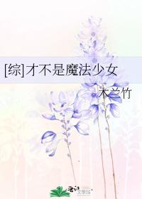 [综]才不是魔法少女