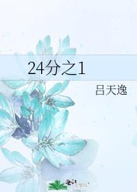 24分之1