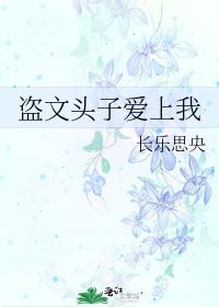 盗文头子爱上我