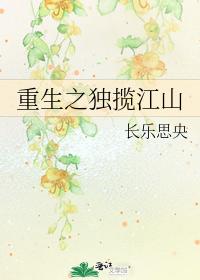 重生之独揽江山