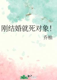 刚结婚就死对象！