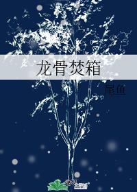 龙骨焚箱