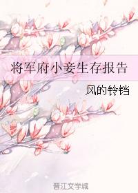 将军府小妾生存报告