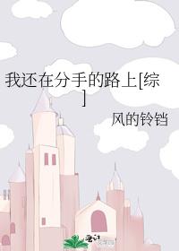 我还在分手的路上[综]