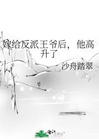 嫁给反派王爷后，他高升了