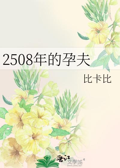 2508年的孕夫