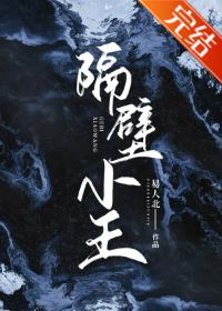 隔壁小王（全息）