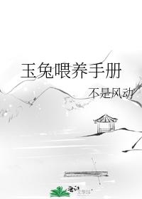 玉兔喂养手册
