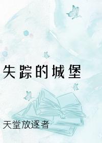 失踪的城堡