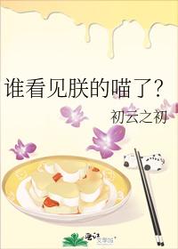 谁看见朕的喵了？