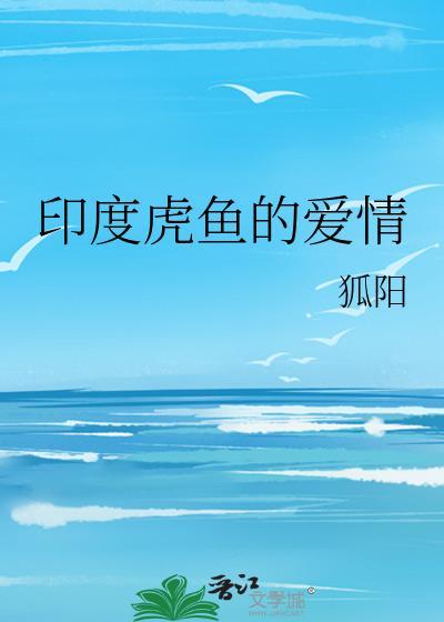 印度虎鱼的爱情