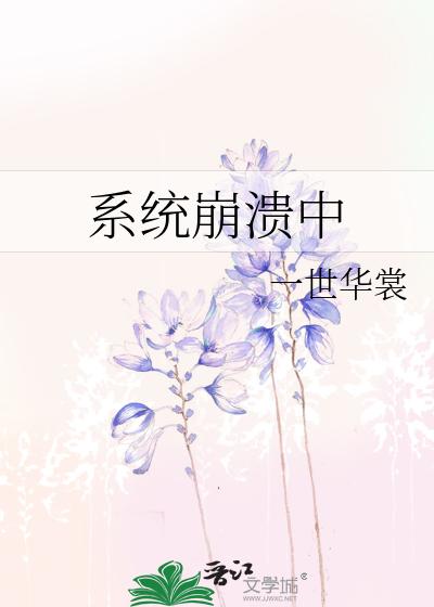 系统崩溃中